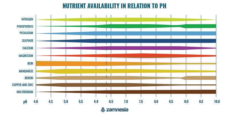 5 Key Factors Influencing Cannabis Nutrient Availability Zamnesia